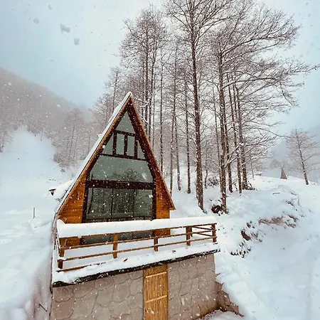 Niva Suit Bungalov *